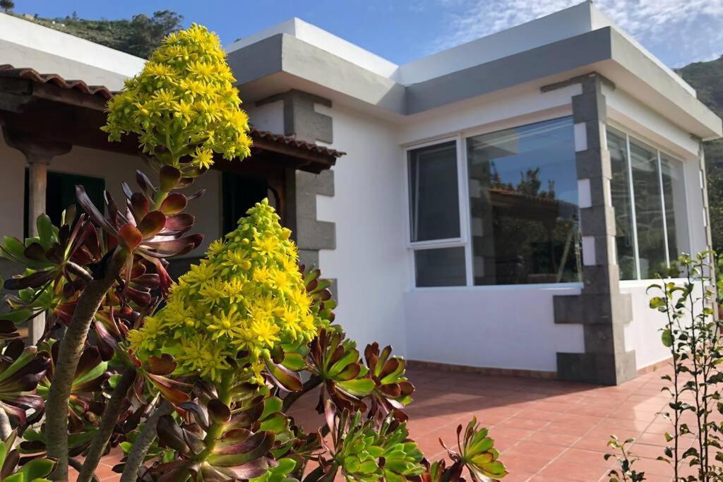 La Choza Villa Vacacional 特罗尔 外观 照片