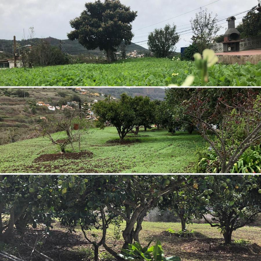 La Choza Villa Vacacional 特罗尔 外观 照片