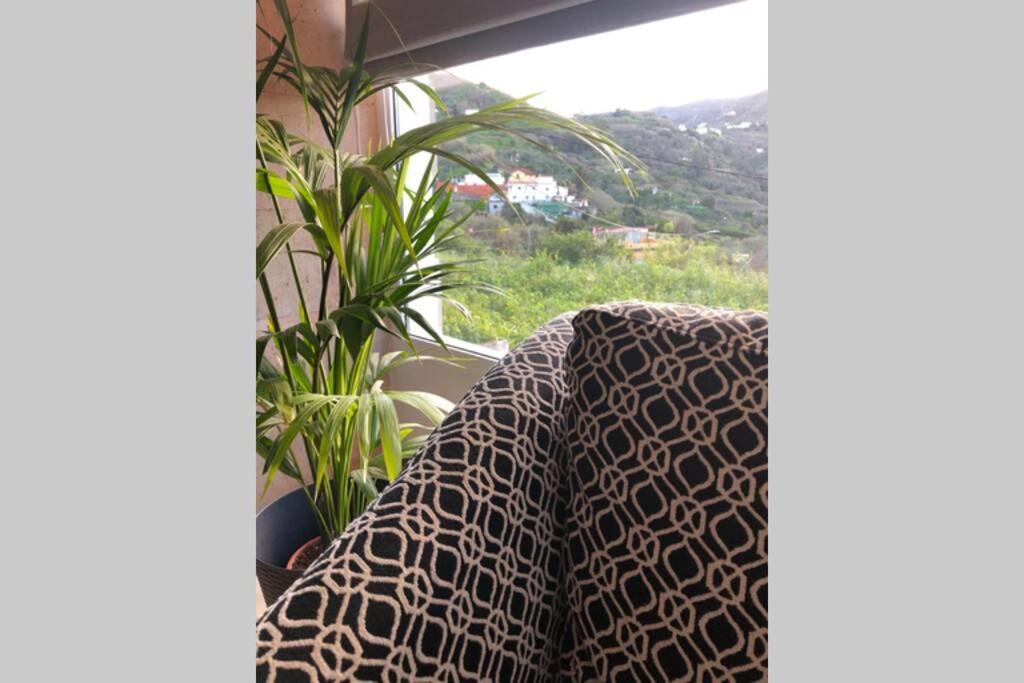 La Choza Villa Vacacional 特罗尔 外观 照片