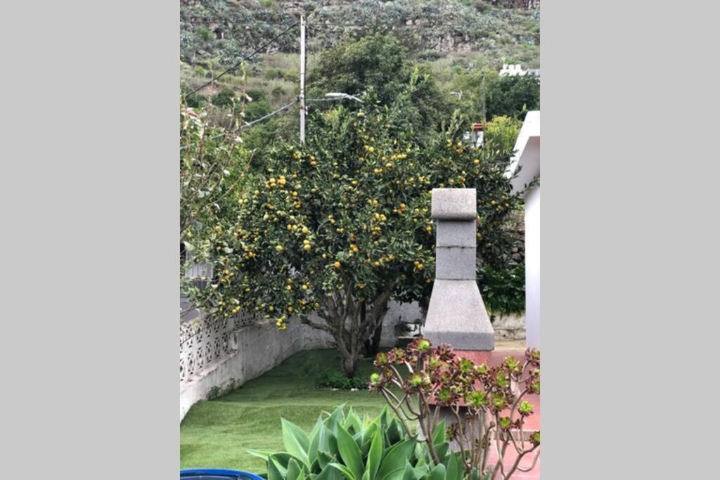 La Choza Villa Vacacional 特罗尔 外观 照片